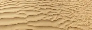 Desert Sand Panorama in Dubai, United Arab Emirates