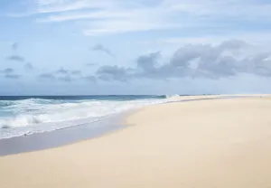 Desert tropical beach in Hawaii