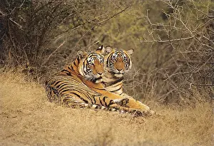 deserted, no one, No People, nobody