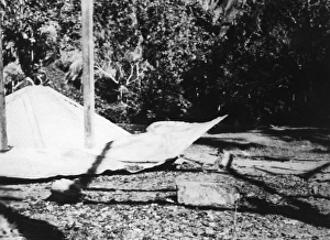 Destruction caused by riots between Hindus and Muslims in Noakhali East Bengal, November 1946, India, Asia