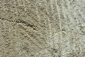 Detailed macro cutting of limestone with many small petrified shells of small molluscs