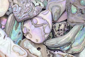 A detailed macro shot of abalone shell fragments in various shapes and sizes