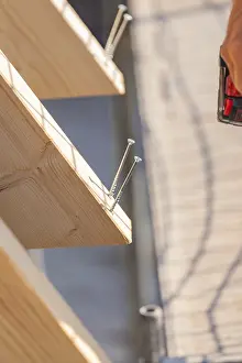 Detailed view of screws screwed into a wooden board