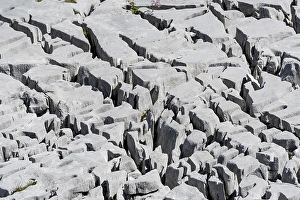 Category Mountain Landscapes Prints: Details karst, karst rock, Steinernes Meer