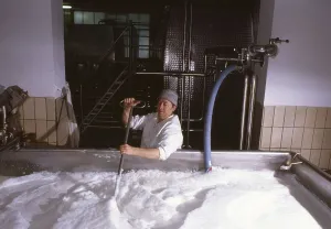 DEU, Germany: The historical slides from the times 80-90s