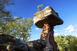 The Devil's Table in autumn, Palatinate Forest