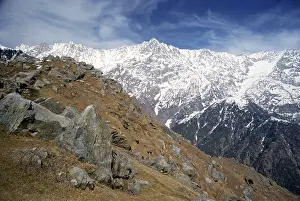 Dhavaladhar range, Triund Treak