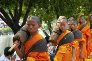 Dhutanga (Known in Thai as Thudong') is a group of thirteen austerities