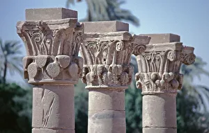 Differently designed capitals, detail
