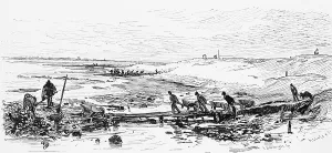 Dike construction after the flood