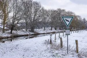 Dinkelwiesen nature reserve, Nienborg