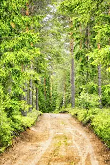 Dirt road leading to beautiful