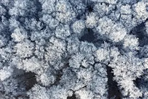Dissen, Dissen am Teutoburg Forest