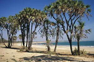 Diu beach, union territory, india