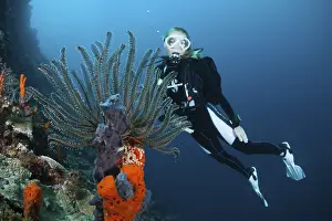 Diver on coral reef, Cenderawasih Bay