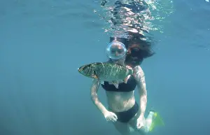 Diver and Dace, Baden-Wurttemberg