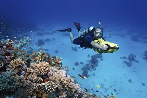 Diver with a diver propulsion vehicle exploring a coral reef