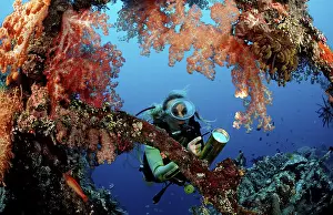 Diver examines Liberty shipwreck