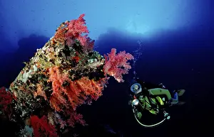 Diver on the Numibia shipwreck