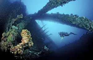 Diver on the Umbria shipwreck, Sudan