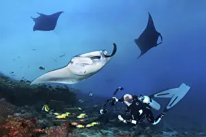 Category Coral Reefs DE Prints: Diver with underwater camera, camera