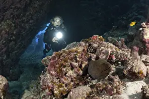 Diver in underwater cave, Pseudanthias squamipinnis