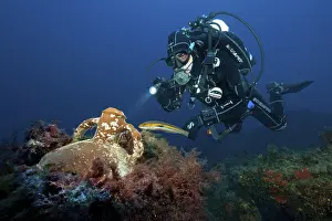 Divers and ancient amphora, Mediterranean Sea