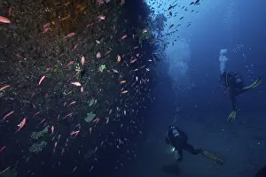 Two divers explore the bottom of a wreck with fish
