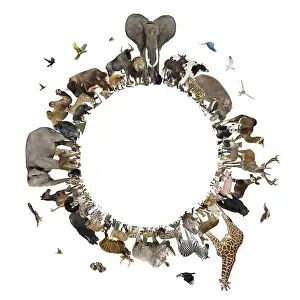 Diverse animal species forming a circle
