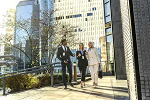 Three diverse business professionals