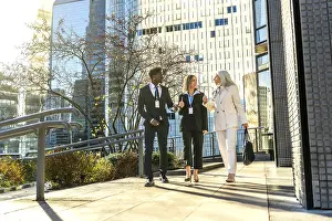 Three diverse business professionals
