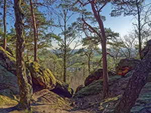 The Doerenther Cliffs, boulders and trees rooted into the rock