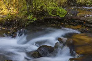 Doesen creek in the Doesen valley