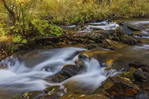 Doesen creek in the Doesen valley