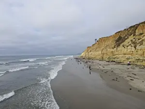 Dog Beach off-leash on Del Mar North Beach