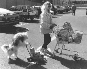 Dog pushes shopping cart, England, Great Britain