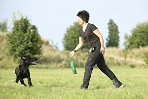 Dog sports
