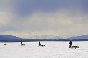 Dog teams with musher, dog sleds
