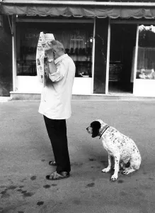 Dog waiting for reading man, between 50s and 60s