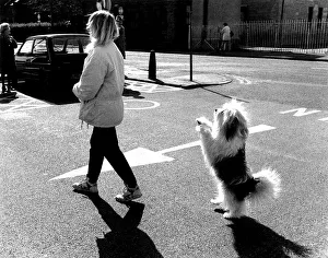 Dog with woman in parking lot, England