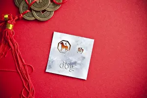 Dog zodiac card with Chinese character on a red background with coins