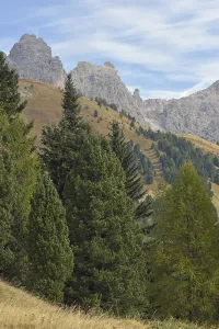 Dolomites in South Tyrol