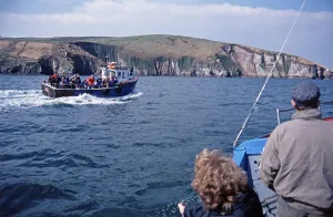 Dolphin tour, people, tour boat