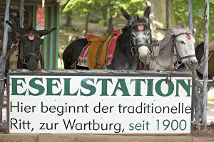 The donkey station below the Wartburg Castle