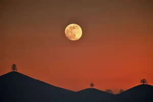 Double exposure, full moon before sunset with trees on moraine hill