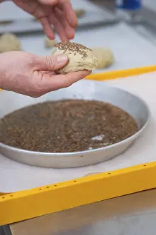 Dough is sprinkled with seeds in a round mold