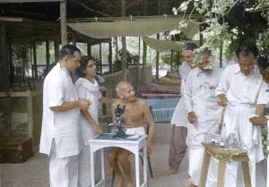 Dr Gajjar showing Mahatma Gandhi hookworm ova under microscope, Mumbai, India, Asia, May 1944, Asia