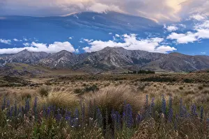 Dramatic cloudscape, mountain landscape and tussock grass