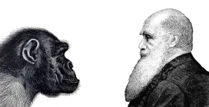 Drawing, Charles Darwin, chimpanzee