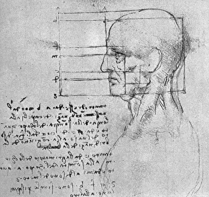 Drawing by Leonardo da Vinci, anatomical study of a head